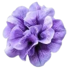 🌸 Эмодзи «flowers and something» для Telegram