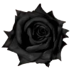 🌸 Эмодзи «flowers and something» для Telegram