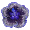 🌸 Эмодзи «flowers and something» для Telegram