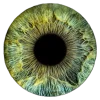 👁 Эмодзи «flowers and something» для Telegram