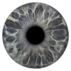 👁 Эмодзи «flowers and something» для Telegram
