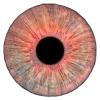 👁 Эмодзи «flowers and something» для Telegram