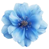 🌸 Эмодзи «flowers and something» для Telegram