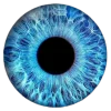 👁 Эмодзи «flowers and something» для Telegram