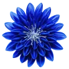 🌸 Эмодзи «flowers and something» для Telegram