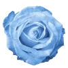 🌸 Эмодзи «flowers and something» для Telegram