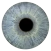 👁 Эмодзи «flowers and something» для Telegram