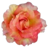 🌸 Эмодзи «flowers and something» для Telegram