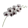 💐 Эмодзи «Цветы - blossom flowers» для Telegram