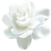 💐 Эмодзи «Цветы - blossom flowers» для Telegram