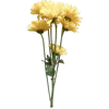 💐 Эмодзи «Цветы - blossom flowers» для Telegram