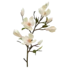 💐 Эмодзи «Цветы - blossom flowers» для Telegram