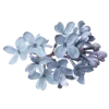 💐 Эмодзи «Цветы - blossom flowers» для Telegram