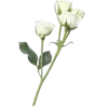 Эмодзи Цветы - blossom flowers для Telegram — скачать