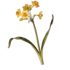 💐 Эмодзи «Цветы - blossom flowers» для Telegram