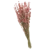 💐 Эмодзи «Цветы - blossom flowers» для Telegram
