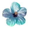 💐 Эмодзи «Цветы - blossom flowers» для Telegram