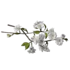 💐 Эмодзи «Цветы - blossom flowers» для Telegram