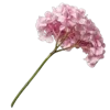 💐 Эмодзи «Цветы - blossom flowers» для Telegram