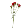 💐 Эмодзи «Цветы - blossom flowers» для Telegram
