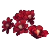 💐 Эмодзи «Цветы - blossom flowers» для Telegram