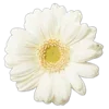 💐 Эмодзи «Цветы - blossom flowers» для Telegram