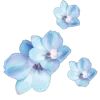 💐 Эмодзи «Цветы - blossom flowers» для Telegram