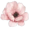💐 Эмодзи «Цветы - blossom flowers» для Telegram
