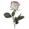 💐 Эмодзи «Цветы - blossom flowers» для Telegram