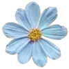 💐 Эмодзи «Цветы - blossom flowers» для Telegram