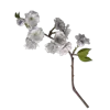 💐 Эмодзи «Цветы - blossom flowers» для Telegram