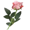 💐 Эмодзи «Цветы - blossom flowers» для Telegram