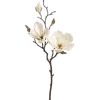 💐 Эмодзи «Цветы - blossom flowers» для Telegram