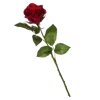 💐 Эмодзи «Цветы - blossom flowers» для Telegram