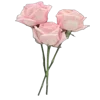 💐 Эмодзи «Цветы - blossom flowers» для Telegram