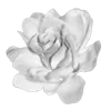 💐 Эмодзи «Цветы - blossom flowers» для Telegram