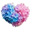 🤩 Эмодзи «🤩 Цветы к первому дню весны!» для Telegram