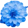 🤩 Эмодзи «🤩 Цветы к первому дню весны!» для Telegram