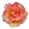🤩 Эмодзи «🤩 flowers - цветы» для Telegram