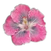 🤩 Эмодзи «🤩 flowers - цветы» для Telegram