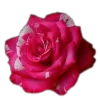 🤩 Эмодзи «🤩 flowers - цветы» для Telegram