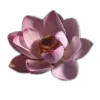 🤩 Эмодзи «🤩 flowers - цветы» для Telegram