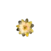 🤩 Эмодзи «🤩 flowers - цветы» для Telegram