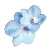 🤩 Эмодзи «🤩 flowers - цветы» для Telegram