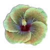 🤩 Эмодзи «🤩 flowers - цветы» для Telegram
