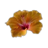 🤩 Эмодзи «🤩 flowers - цветы» для Telegram
