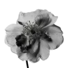 🤩 Эмодзи «🤩 flowers - цветы» для Telegram