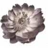 🤩 Эмодзи «🤩 flowers - цветы» для Telegram