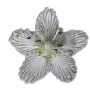 🤩 Эмодзи «🤩 flowers - цветы» для Telegram