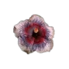 🤩 Эмодзи «🤩 flowers - цветы» для Telegram